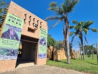 Nelspruit, Instytut Szympansów imienia Jane Goodall